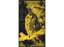 Полотенце махровое 6с103.412ж1 Фото-сова(т.желтый) 50х90см