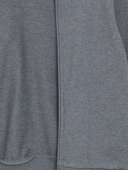 Basic Erkek Bebek Fermuarl? Sweatshirt - Waikiki фото 2