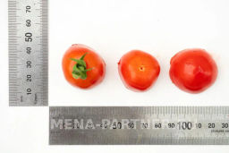 Томат Поцелуй - Партнер фото 5