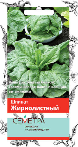Шпинат Жирнолистный (ЦВ) 3гр. - Поиск фото 2