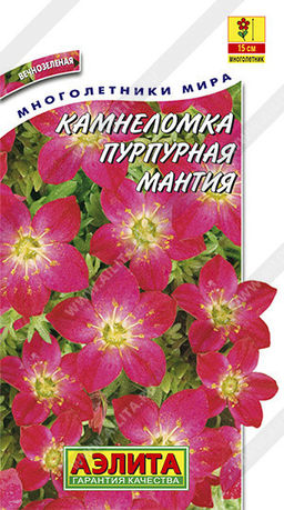 1478A Камнеломка Пурпурная мантия 0,01гр