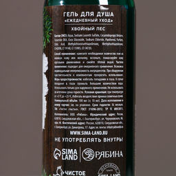 Новогодний подарочный набор косметики «Богатства и успеха», гель для душа 100 мл и мочалка для тела, Чистое счастье