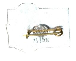 Значок Леся Украинка