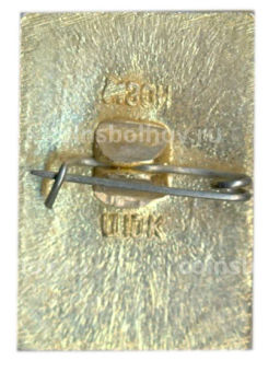 Значок Кострома