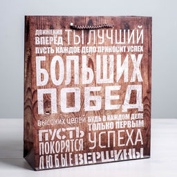 Цена за 2 шт. Пакет подарочный ламинированный, упаковка, «Больших побед», MS 18×23×8 см