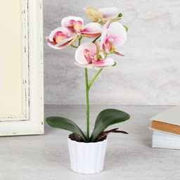 Цветочная композиция Орхидея 30 см / LM-790 /уп 96/ - Галеонтрейд фото 8