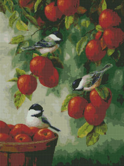 Вышивка крестиком 40х50см, Птицы и яблоки
