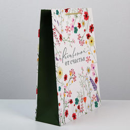 Цена за 2 шт. Пакет подарочный ламинированный, упаковка, Расцветай от счастья, L 28?38?9 см