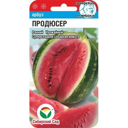 Арбуз Продюсер 4шт. (Сибирский сад)