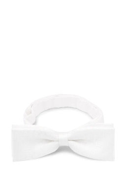 Галстук-бабочка мужской CASINO Casino-poly-wedding 512.1.409