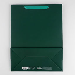 Пакет ламинированный Изумрудный, L 31 40 14 см - Дарите счастье фото 4