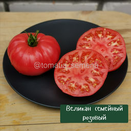 Великан семейный розовый - Tomatia фото 3