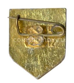 Значок Сосновка