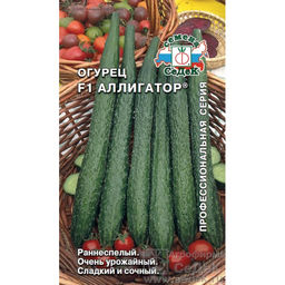 Огурец Аллигатор 2 F1 0,2г (СеДеК)