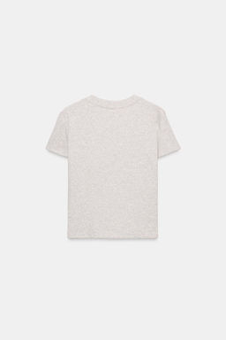 CAMISETA MANGA CORTA OSO / Gris vigor? - Zara фото 6