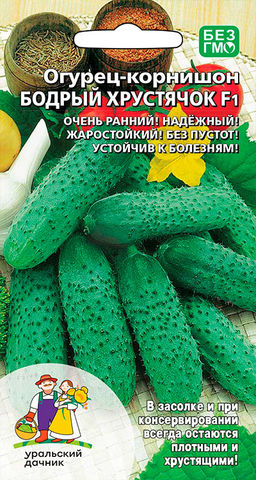 Огурец БОДРЫЙ ХРУСТЯЧОК F1 Очень ранний! Надёжный! Жаростойкий! Устойчив к болезням!