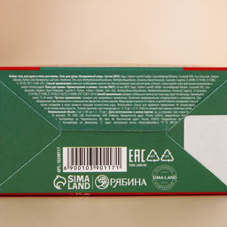 Подарочный набор новогодний женский Зимнее чудо: гель для душа и пена для ванны, 2?100 мл, URAL LAB