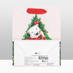 Пакет подарочный Принимайте поздравления, 18 х 22,3 х 10 см - Simaland фото 8