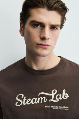 CAMISETA TEXTO BORDADO / Marr?n - Zara фото 5
