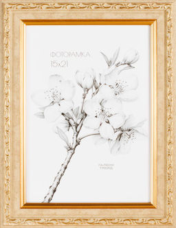 Фоторамка 15х21 / 10103-2/