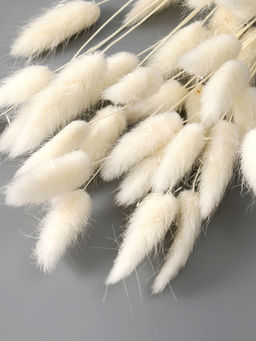 Цена за 2 шт. Декор сухоцвет Лагурус, 55 см, набор 30 шт., белый - Simaland фото 2