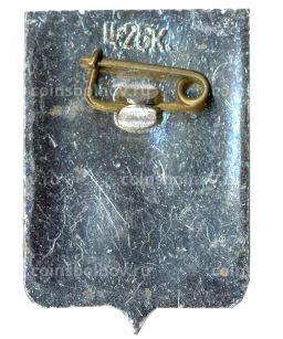 Значок Боровичи