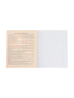 Тетрадь предметная Доска, 48 листов в линейку Литература, обложка мелованный картон, блок офсет - Calligrata фото 8