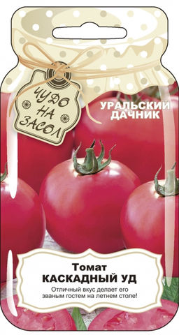 Томат КАСКАДНЫЙ УД  Кусты сплошь усыпанные плодами округлой формы, плотные, мясистые, гладкие, цвета малинового желе, увесистые, массой до 130 г! Вкуснотища неописуемая! - Уральский дачник фото 3