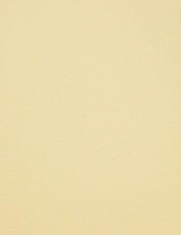 Limon Regular Fit V Yaka Basic Ti__rt