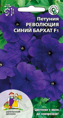 Петуния РЕВОЛЮЦИЯ СИНИЙ БАРХАТ