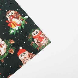 Цена за 10 шт. Бумага упаковочная глянцевая «Совушки», 70 х 100 см