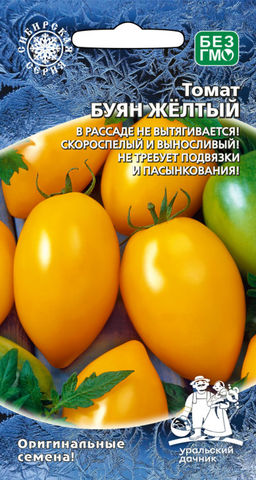 Томат БУЯН ЖЁЛТЫЙ В рассаде не вытягивается! Скороспелый! Выносливый! Не требует подвязки и пасынкования!