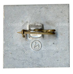 Значок ДСМ  20 лет