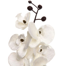 Искусственные цветы "FLOWERS MAGIC" 70см Орхидея шампань