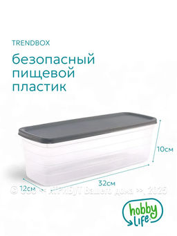 Контейнер пищевой TRENDBOX прозрачный 2.6л длинный высокий