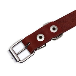 Ошейник кожаный однослойный, 54 х 2,5 см, ОШ 35-45 см, коричневый - Пижон фото 5