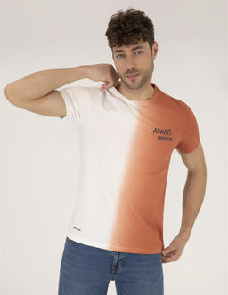 Kahverengi Slim Fit Degrade Ge_i_li Bisiklet Yaka Ti__rt