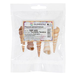 Blumentag / Zlatka DRF-025 Ракушки морские 5 шт. 10.1 см Turritella Terebra