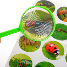 Набор для исследований Юный натуралист - Эврики фото 3