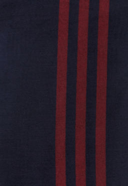 Шарф мужской GREG G3054