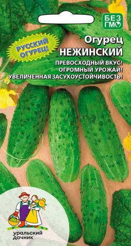 Огурец НЕЖИНСКИЙ 12 Добрый гость из Царской Руси! Превосходный вкус который был во время правления Романовых! Огромный урожай! Засухоустойчивый!