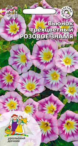 Вьюнок РОЗОВОЕ ЗНАМЯ