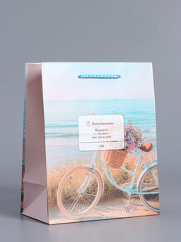 Пакет подарочный ламинированный «Путь к мечте», 18×22.3×10 см