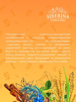 Твердый шампунь-концентрат "Защита цвета и восстановление" SIBERINA