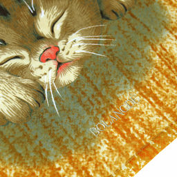 "Япония-2017" Полотенце махровое 70х140см, плотность 300гр/м2, 100% хлопок, "Котята", оранжевый, Bolangde (Китай)