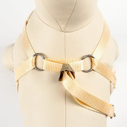 Комплект с мягкой шлейкой Горох, размер М, поводок 120 х 1,5 см, ОГ 34-66 см, розовый - Пижон фото 5