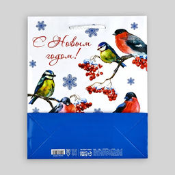 Цена за 2 шт. Пакет подарочный новогодний ламинированный «Снегири», ML 21×25×8 см