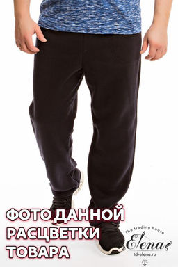 Брюки (начес) Арт. 11606 Черный - Елена фото 2