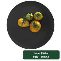 Гном Лайм грин салад - Tomatia фото 2
