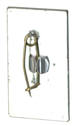 Значок Пансионат Шепси